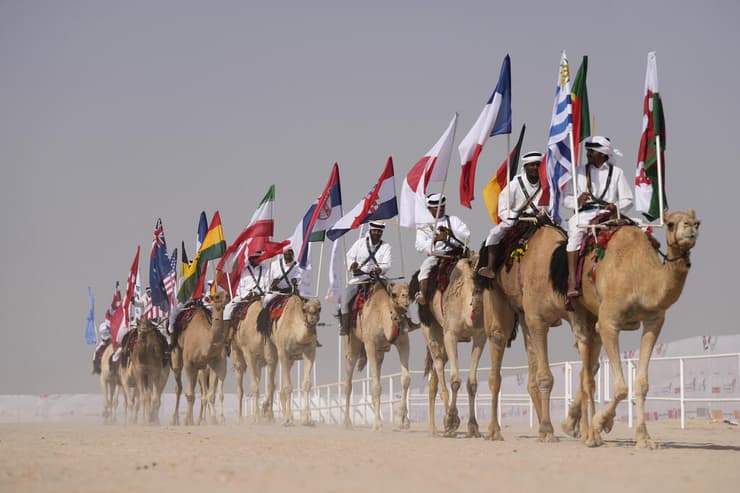 הגמלים עם דגלי מדינות שמשתתפות במונדיאל