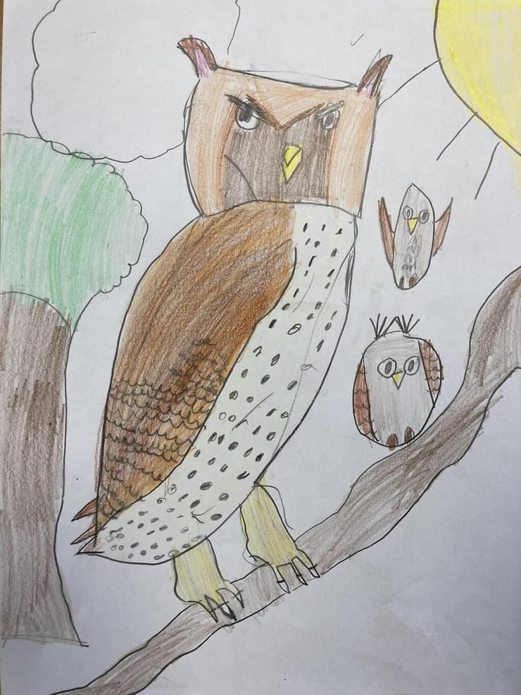 איור של ינשוף שציירו ילדים בגילים 6-9