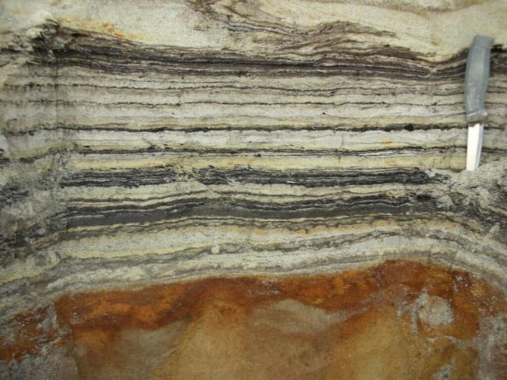 שכבות אורגניות בסלע שמציגות עקבות של צמחים וחרקים שחיו לפני 2 מיליון שנים בתצורת קאפ קופנהגן שבצפון גרינלנד 