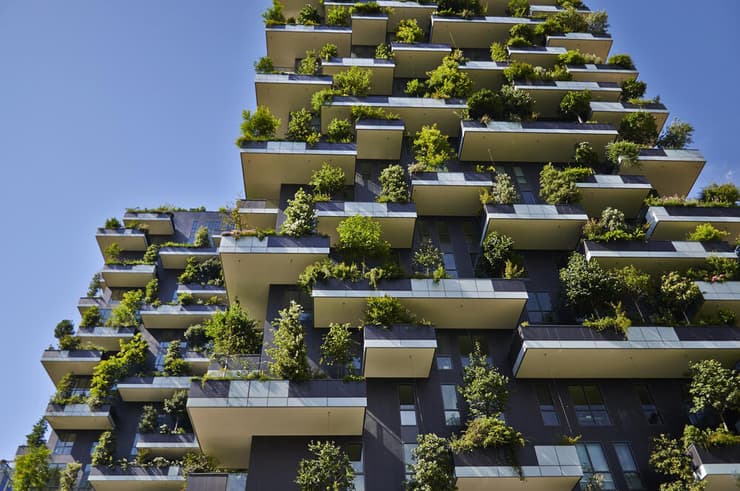 צילום: shutterstock