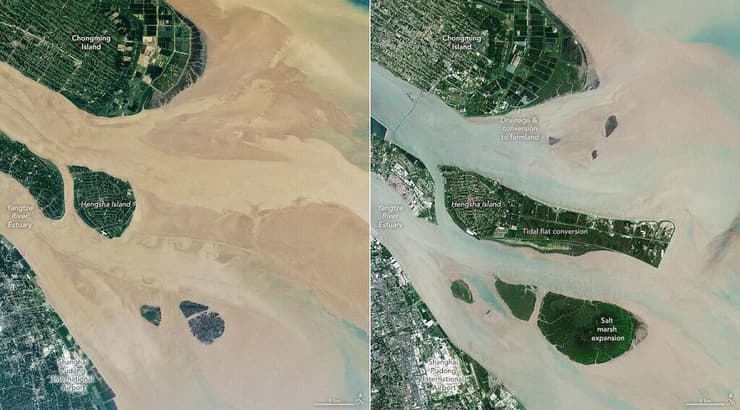 שתי תמונות לוויין של דלתת נהר היאנגצה, שצולמו על ידי לאנדסאט 7 באוגוסט 2000 (משמאל) ועל ידי לאנדסאט 9 באוגוסט 2022 (מימין), בהן ניתן לראות את הנסיגה של מפלס המים
