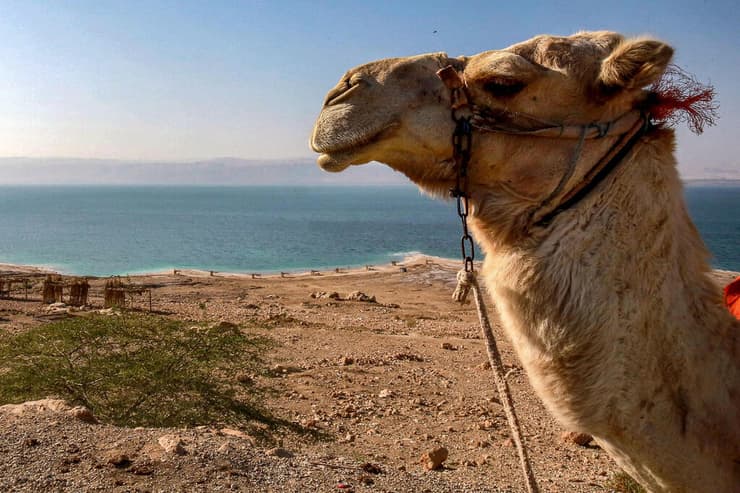 לקראת פסגה בעיירה סווימה בצד של ירדן ב ים המלח שבה בין היתר ישתתף שר החוץ של איראן