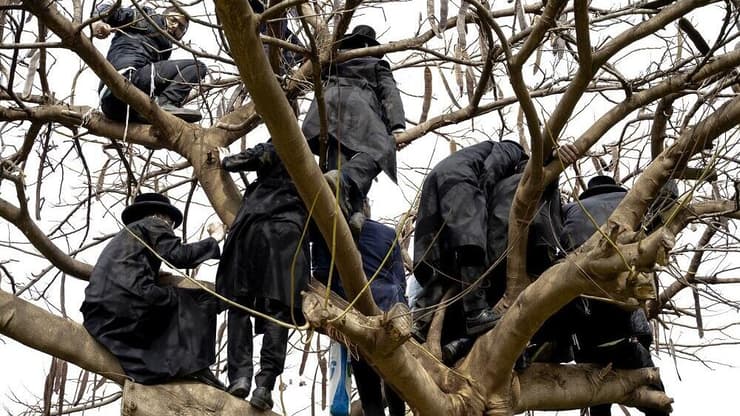 תמונות השנה - צעירים חרדים צופים בהלווייתו של הרב חיים קנייבסקי, לאחר שטיפסו על עץ בשל הצפיפות הרבה. בני ברק, 20 במרץ 2022