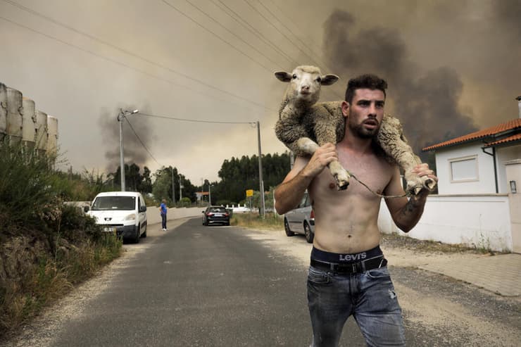 תמונות השנה 2022 פורטוגל בואבישטה גבר בורח עם עז מ שריפה