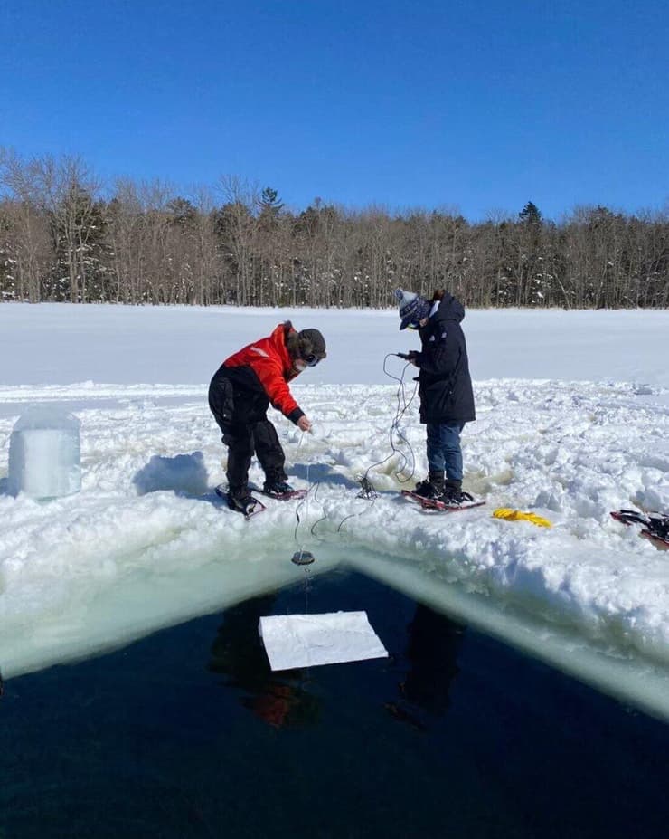 חוקרי אוניברסיטת טוקיו דוגמים את כדורי המרימו מאגם אקאן בחודשי החורף