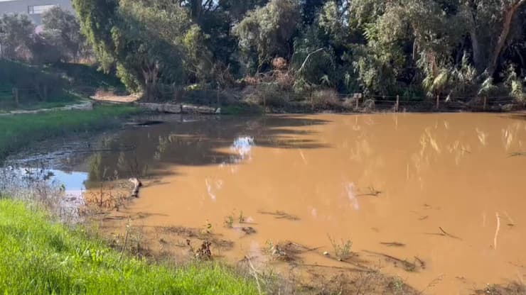 בריכת דרזנר בתל אביב מלאה, ביום שלישי