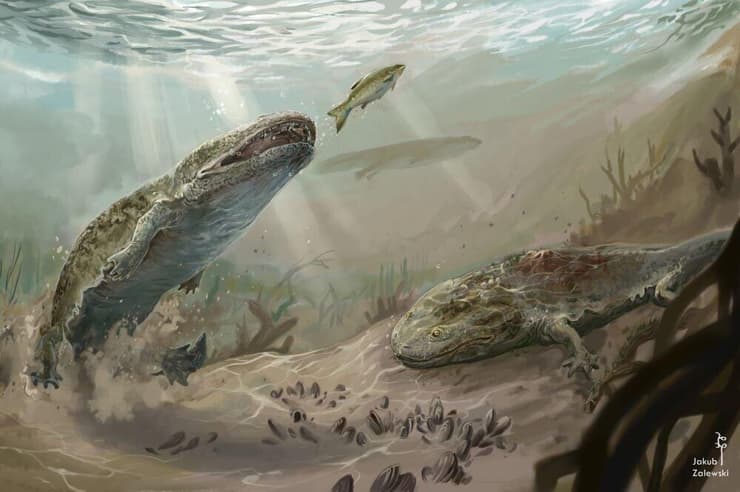 שחזור המטופוזאורים, שחיו לפני כ-215 מיליון שנים