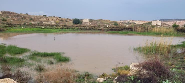 בריכת החורף במגדל צדק מלאה, ביום שלישי