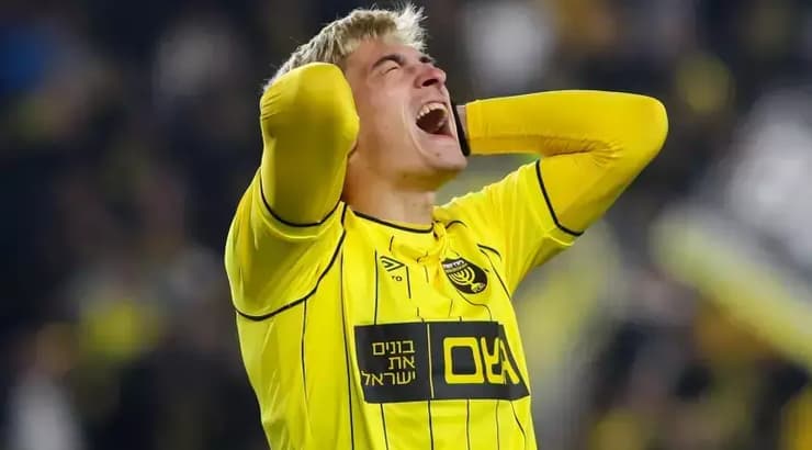 איאון ניקולסקו מאוכזב