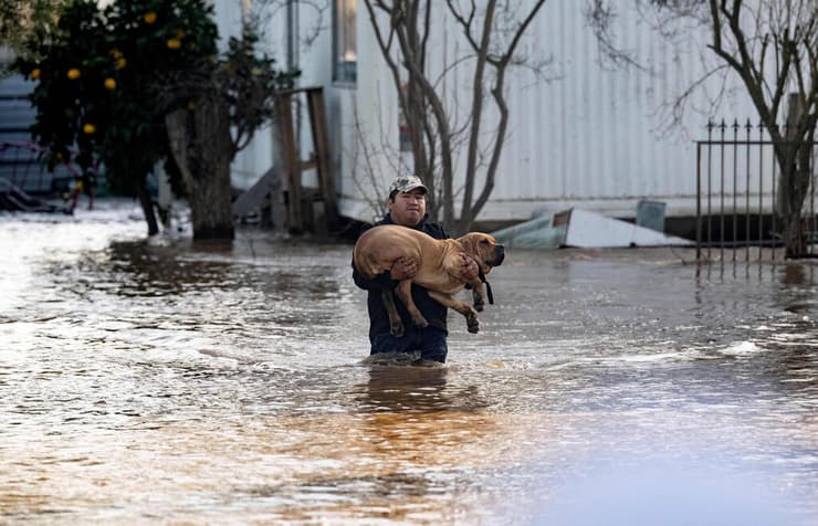 תושב מפנה כלב מהצפה באזור מרסד קליפורניה סערה ארה"ב