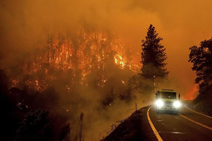 שריפת עצים בארצות הברית