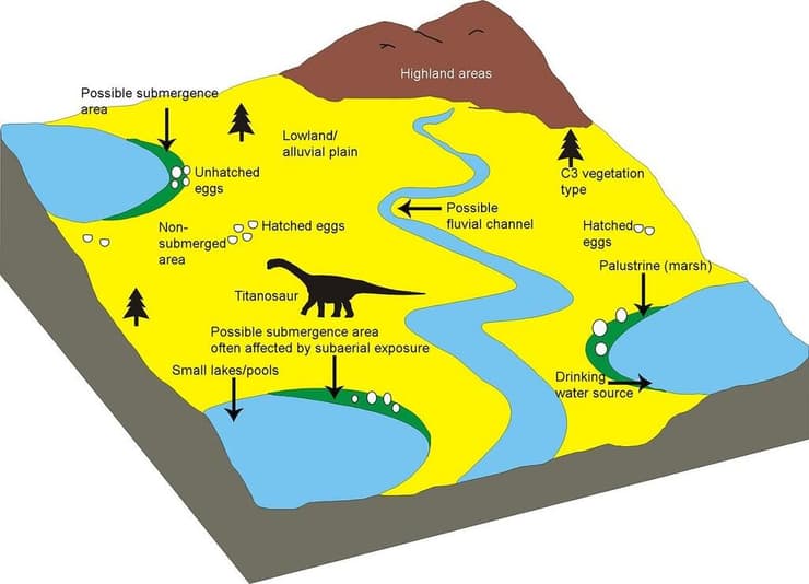 איור שמדמה את השטח בו אותרו אתרי הקינון ובהם הביצים המאובנות של הטיטאנוזאורוסים, גם בקרבת מקור מים וגם רחוק מהם