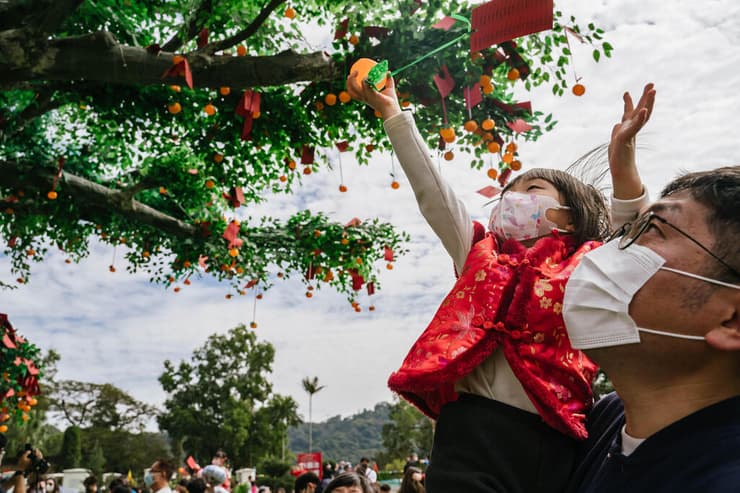 תולים משאלות על עץ ב הונג קונג סין חגיגות השנה הירחית החדשה שנת הארנב בצל מגפת הקורונה קורונה