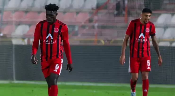 איסק פפואה ושון עדרי מאוכזבים (שחר גרוס) איסק פפואה ושון עדרי מאוכזבים