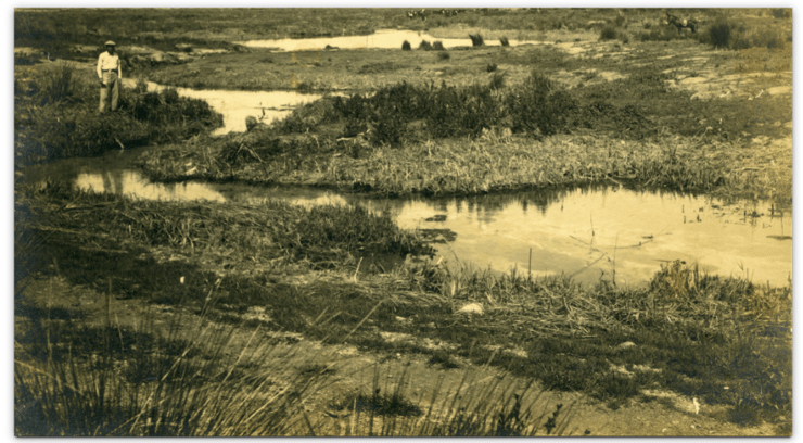 שטח הביצות במהלך תהליך הייבוש (קרדיט: אוסף דב קובלנוב, ארכיון התמונות יד יצחק בן-צבי) שטח הביצות במהלך תהליך הייבוש