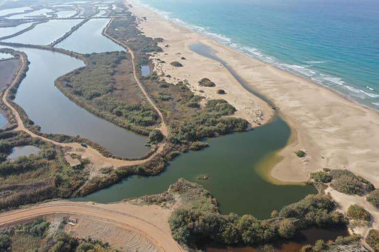 השטח שיעבור שיקום במסגרת פרויקט הדפלה (צילום: רועי רבין, רשות הטבע והגנים) השטח שיעבור שיקום במסגרת פרויקט הדפלה