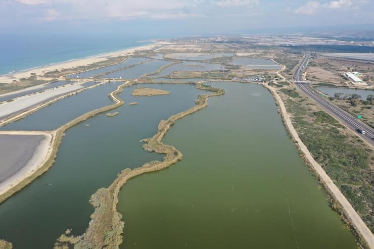 השטח שיעבור שיקום במסגרת הפרויקט (צילום: רועי רבין, רשות הטבע והגנים) השטח שיעבור שיקום במסגרת פרויקט הדפלה