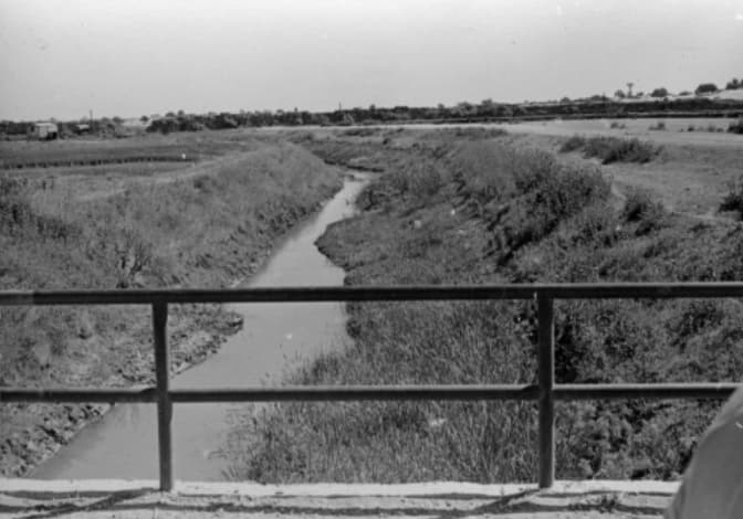 שטח הביצות במהלך תהליך הייבוש בתחילת המאה ה-20 (קרדיט: אוסף דב קובלנוב, ארכיון התמונות יד יצחק בן-צבי) שטח הביצות במהלך תהליך הייבוש