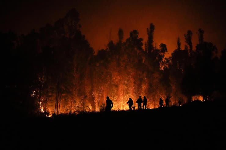 צ'ילה שריפה שריפות יער 