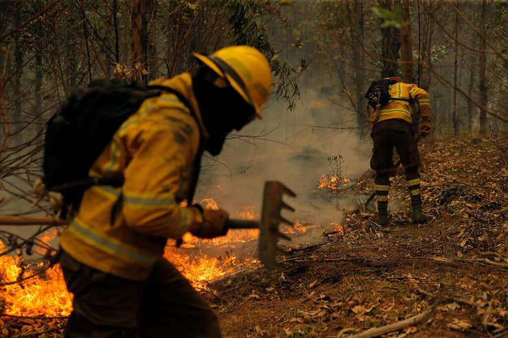 צ'ילה שריפה שריפות יער 
