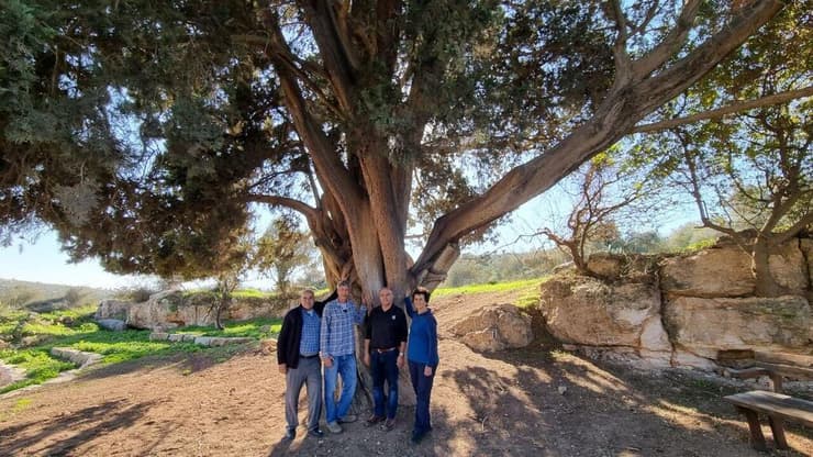 סוהיל זיידן וחברו, ד"ר אסתי ינקלביץ ואסף קמר לצד עץ הברוש העתיק באילנייה