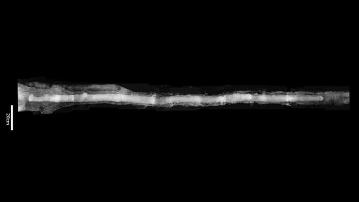 צילום רנטגן שבוצע לחרב שהתגלתה בנארו