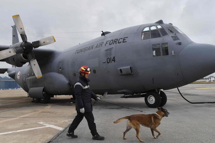 כלב שיצא לטורקיה במשלחת החילוץ מתונסיה