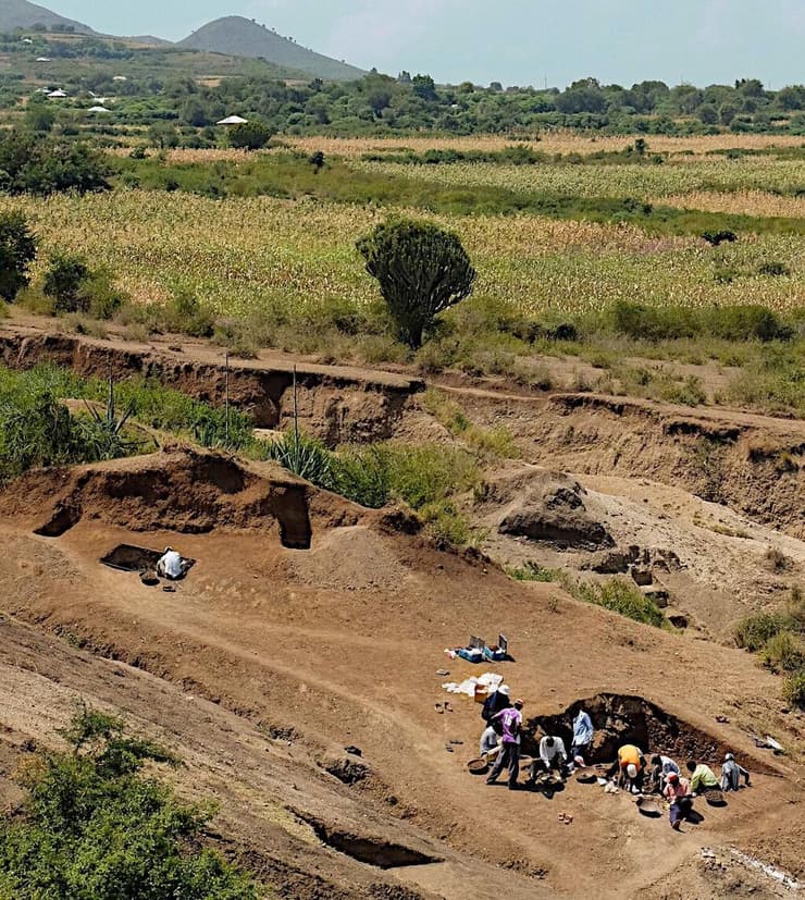 החפירות באתר נייאנגה שבמערב קניה, בו התגלו 330 כלי אבן, 1,776 עצמות בעלי חיים ושתי שיניים טוחנות של פראנתרופוס