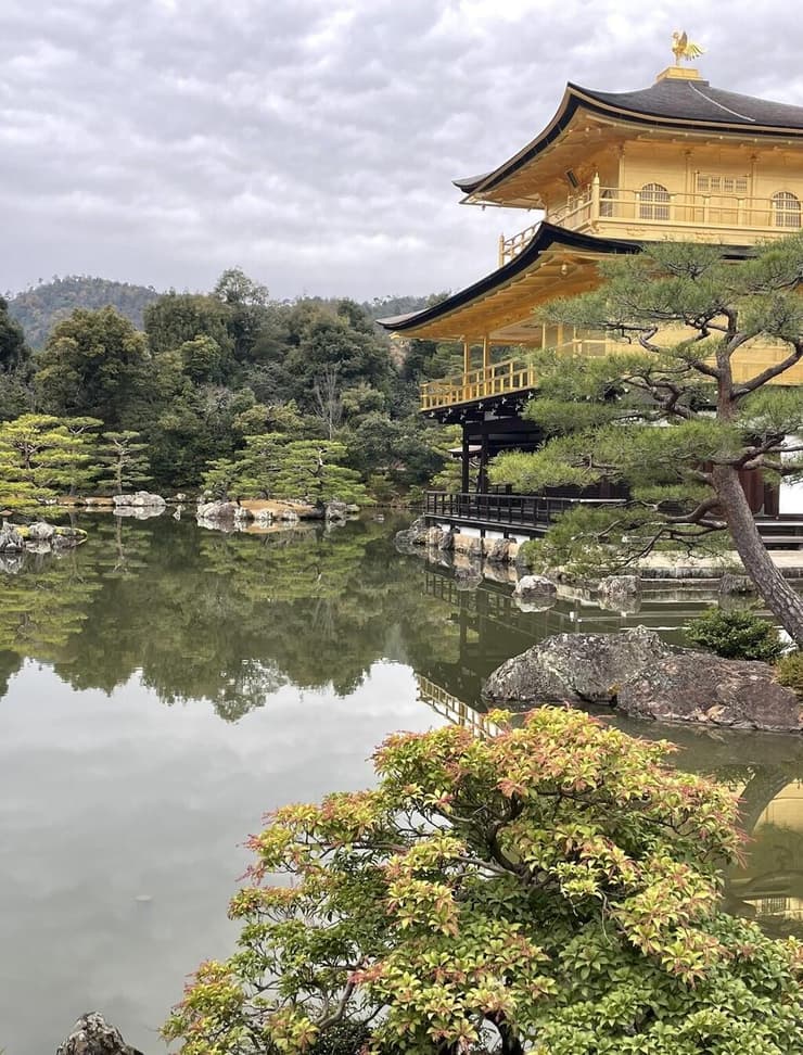 מקדש הזהב קיוטו