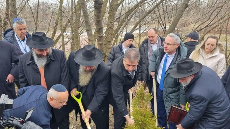 שר החוץ אלי כהן נטע עץ בבאבי יאר