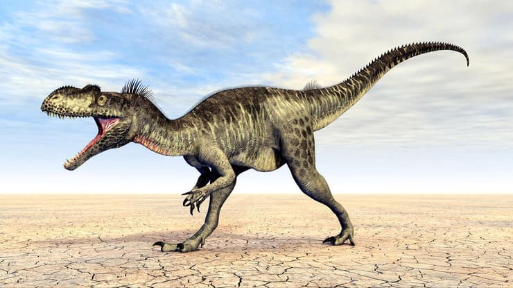 הדמיה של מגלוזאורוס