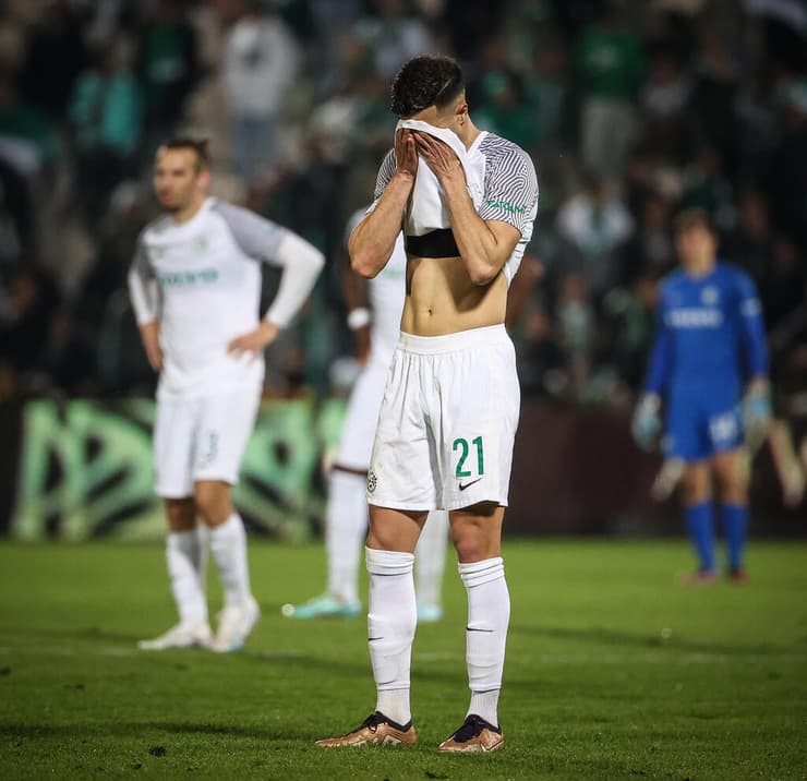 דין דוד (צילום: עוז מועלם) דין דוד