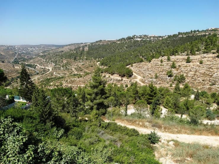 אזור רכס לבן בהרי ירושלים