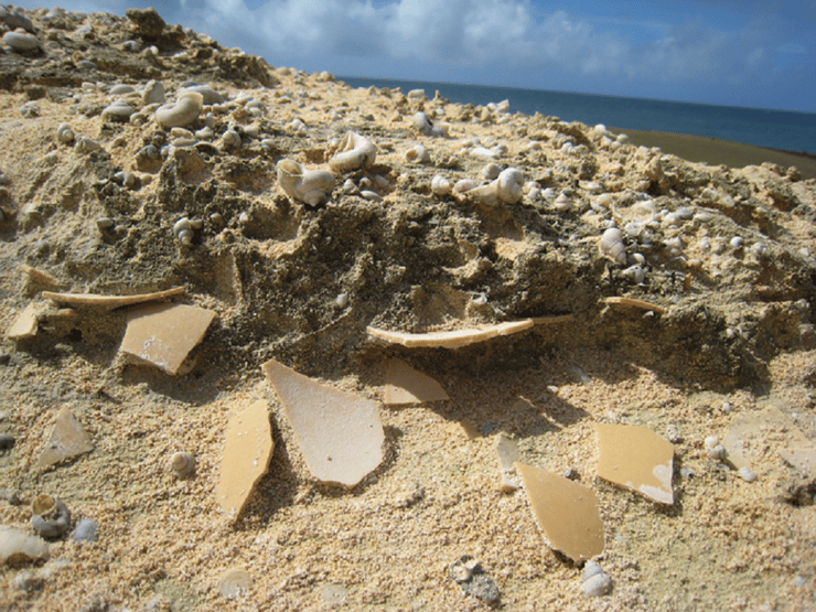 קליפות ביצי אפיאורניס, שנחשפו בשל הרוחות שנשבו והסירו את מעטה החול שכיסה אותן
