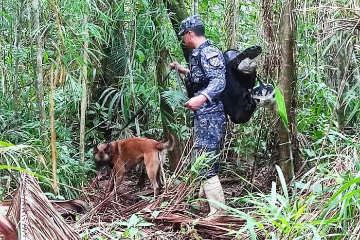 החיפושים אחר ג'ונתן אקוסטה גבר ששרד 31 יום לבד ב יער האמזונס אמזונס ב בוליביה