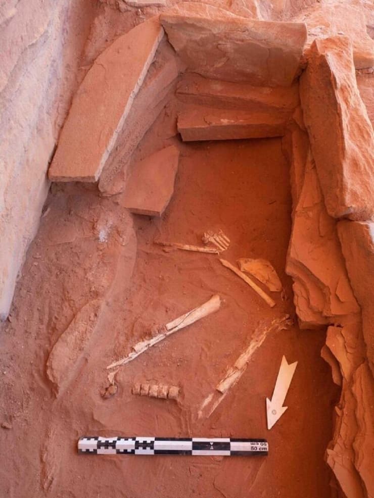 שרידי האדם שהתגלו בחפירות המוסטטיל