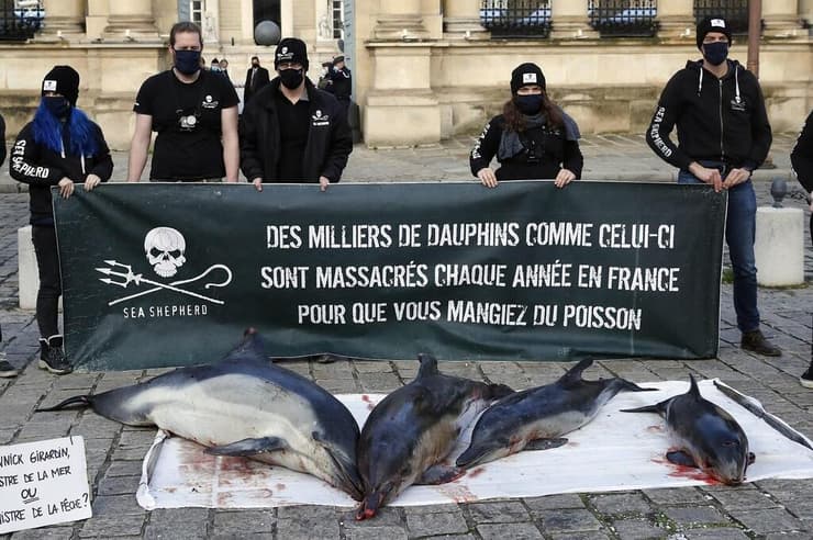 פעילי ארגונים סביבתיים עומדים לצד ארבעה דולפינים מתים מחוץ לפרלמנט הצרפתי בפריז, כמחאה על הרג הדולפינים מציוד דייג ומנועי סירות. על השלט שהניפו המוחים נכתב: "אלפי דולפינים כמו אלה נטבחים מדי שנה בצרפת כדי שתוכלו לאכול דגים"
