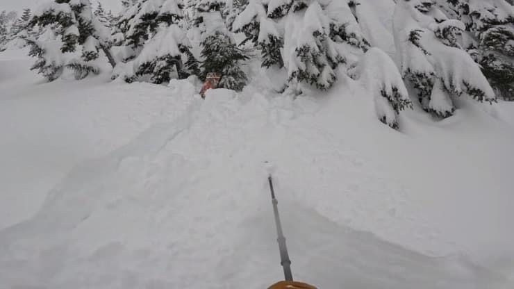 חילוץ מ שלג של גולש סקי שנקבר הפוך ב הר בייקר במדינת וושינגטון ארה"ב