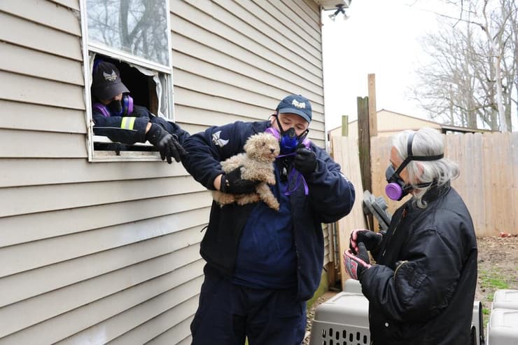 עדי גיל ישראלי מיליונר ופילנתרופ בנושאי זכויות בעלי חיים מהוליווד