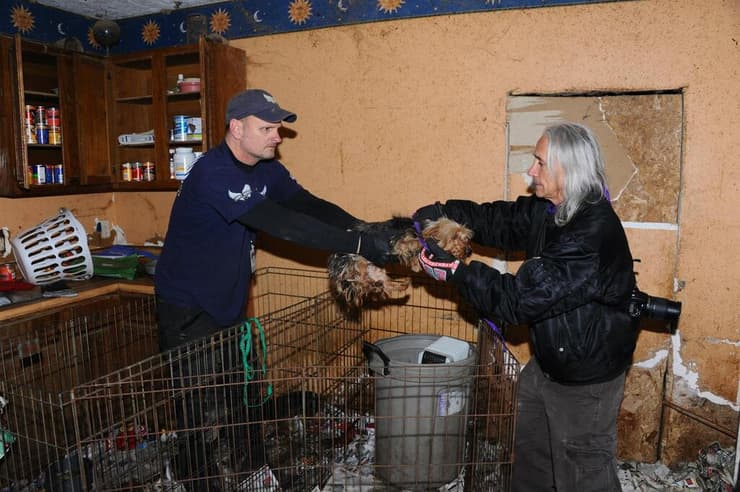 עדי גיל ישראלי מיליונר ופילנתרופ בנושאי זכויות בעלי חיים מהוליווד