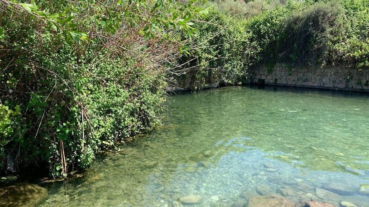 מעיין הסוסים