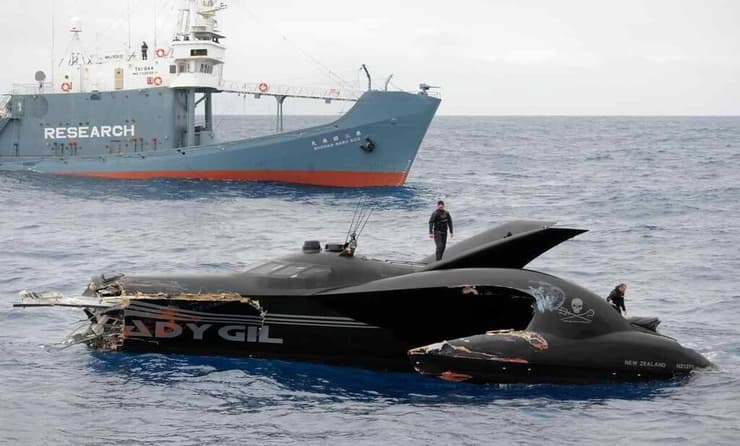 עדי גיל ישראלי מיליונר ופילנתרופ בנושאי זכויות בעלי חיים מהוליווד