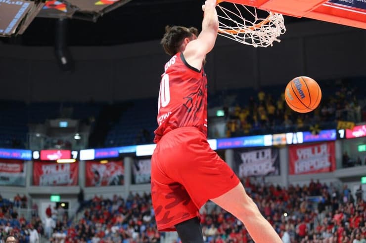 מחמאות מקיר לקיר. קורנליוס (צילום: אלכס קולומויסקי) אור קורנליוס מטביע