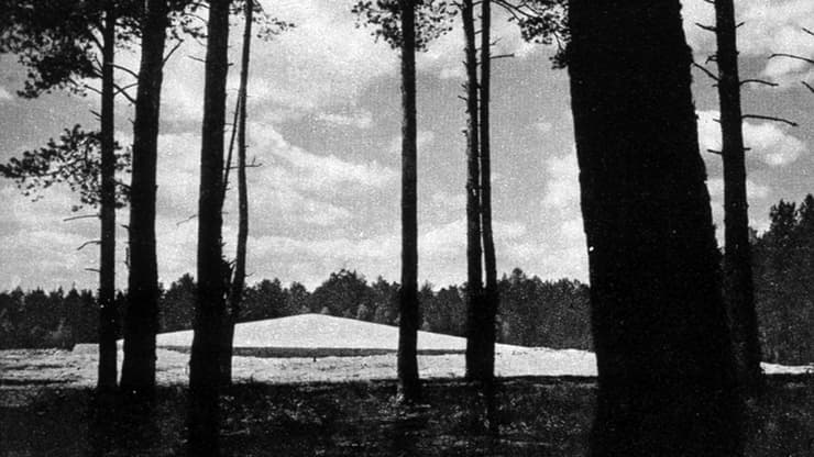  יער באזור מחנה השמדה סוביבור 