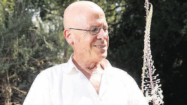 מאיר שלו