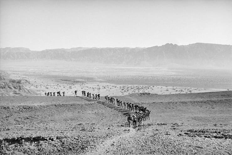 מטיילים עולים מהערבה אל מעלה צאלה, 1955