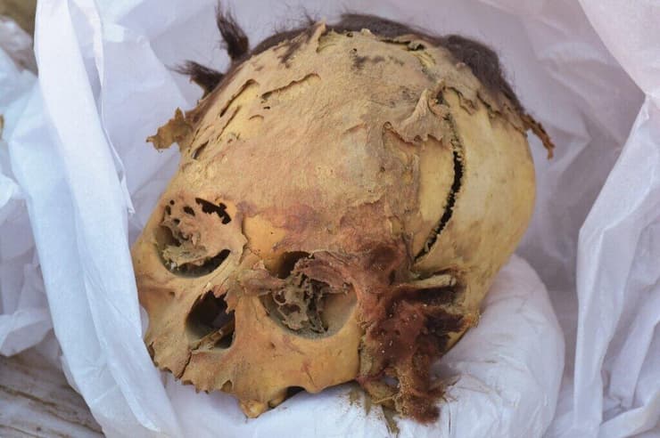 הגולגולת של המומיה שהתגלתה באתר הארכאולוגי קחאמארקייה שבפרו
