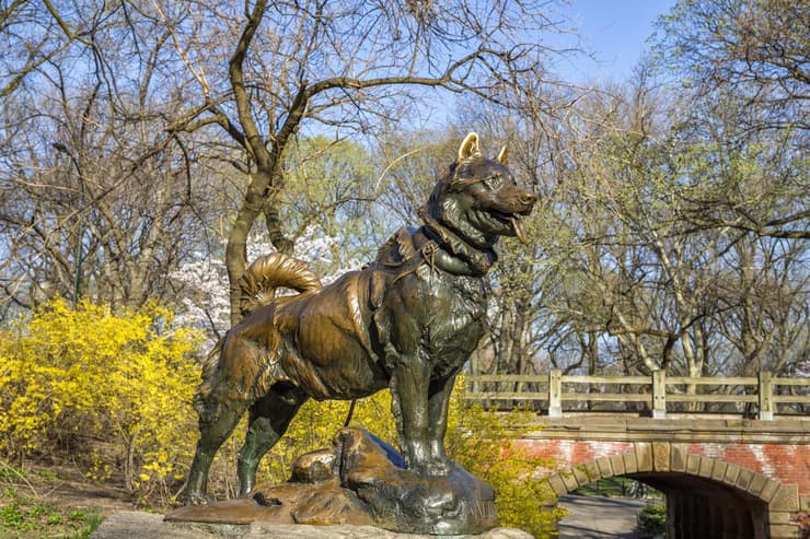הפסל של בלטו בסנטרל פארק שבניו יורק