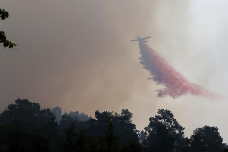 שריפת יער בקפריסין