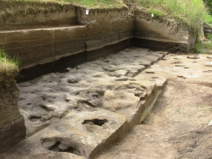 עקבות הרגליים שהתגלו באתר הפליאוליתי של שונינגן בסקסוניה התחתונה שבגרמניה ומתוארכות לתקופה שלפני כ-300 אלף שנה